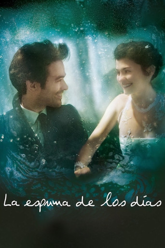 Póster de L'Écume des jours