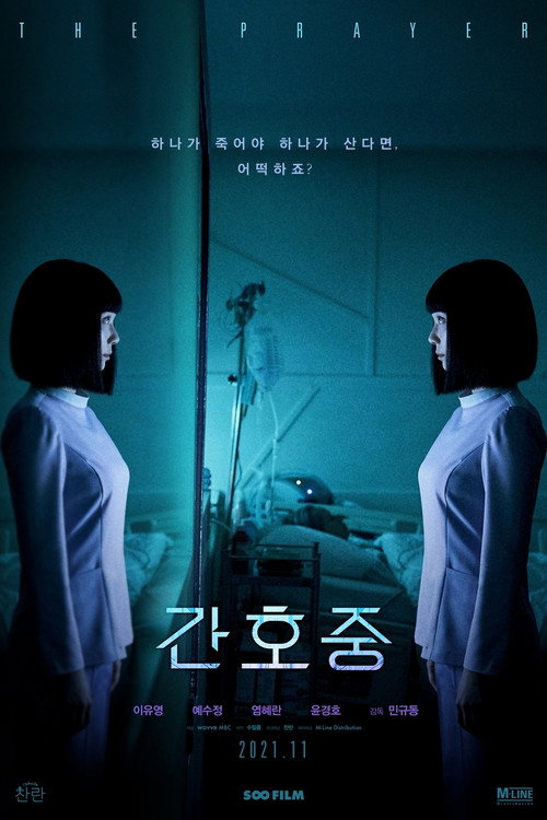 Póster de 간호중