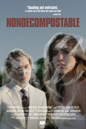 Póster de Nondecomposable