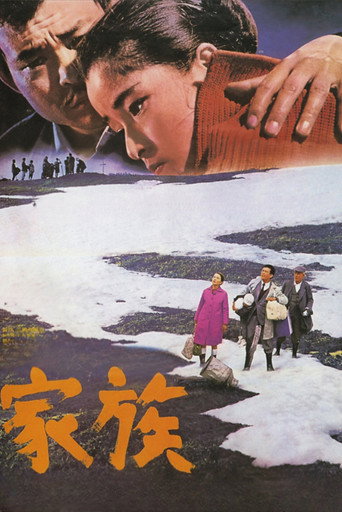 Póster de 家族