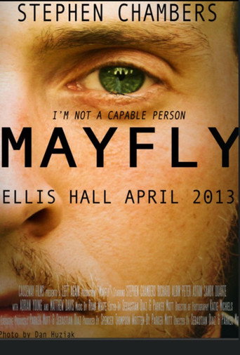 Póster de Mayfly