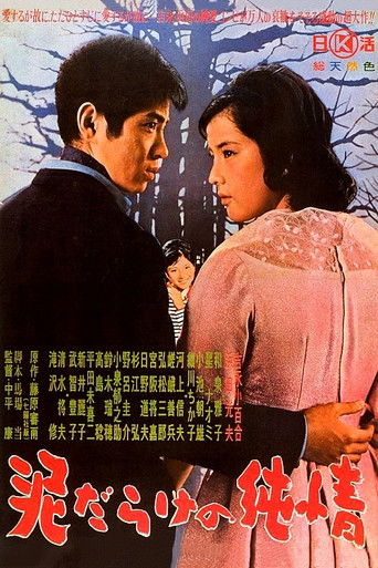 Póster de 泥だらけの純情