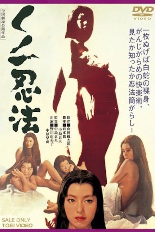 Póster de くノ一忍法