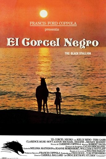 Póster de El Corcel Negro