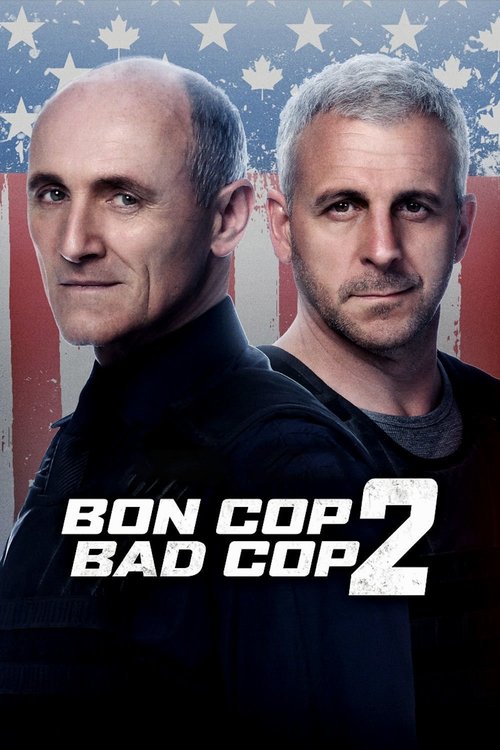 Póster de Dos policías en apuros 2