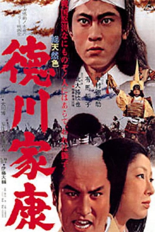 Póster de 徳川家康