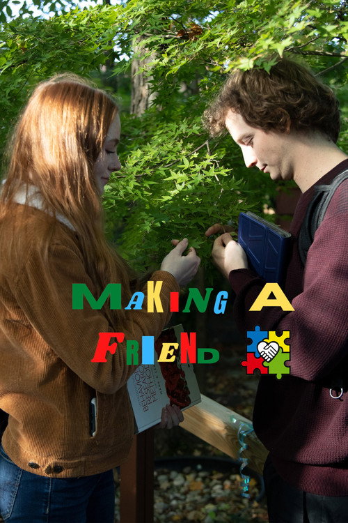 Póster de Making a Friend
