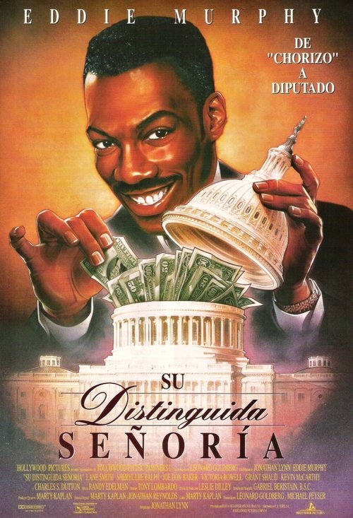 Póster de De estafador a senador