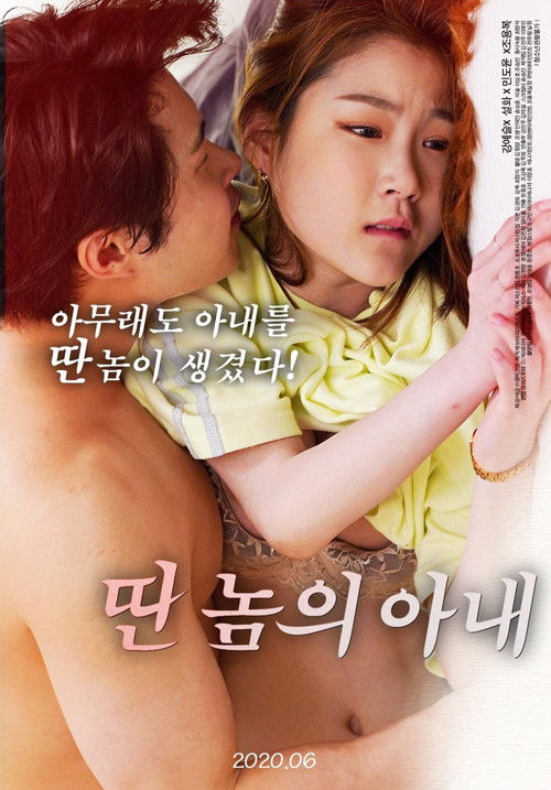 Póster de 딴놈의 아내