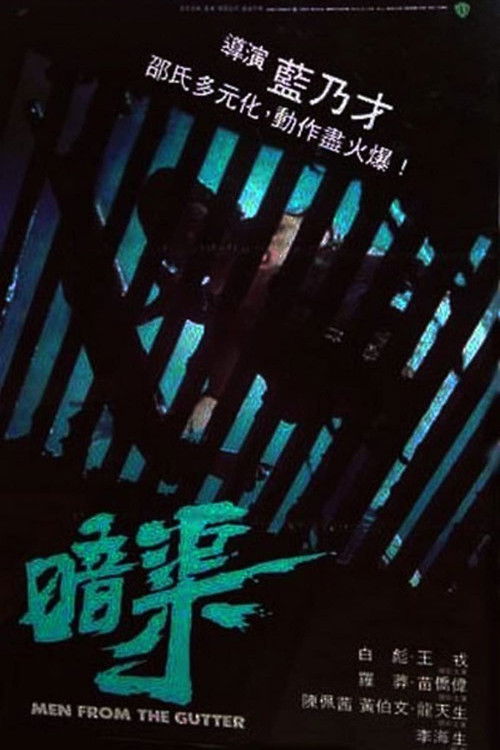 Póster de 暗渠