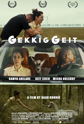 Póster de GekkigGeit