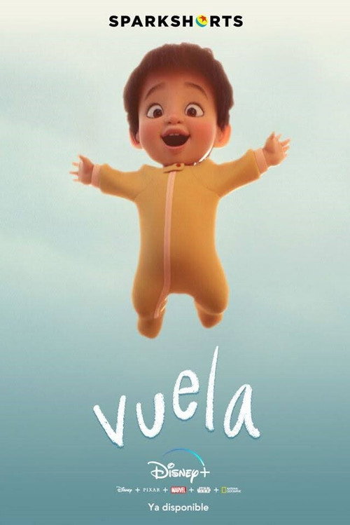 Póster de Flota
