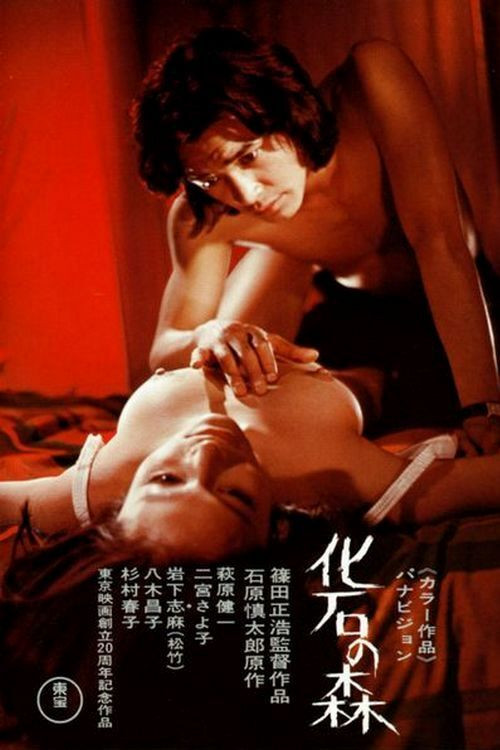 Póster de 化石の森