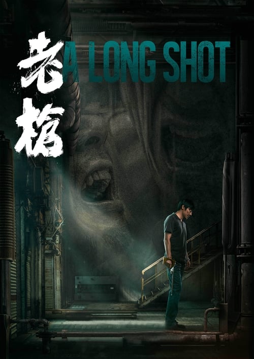 Póster de 老枪