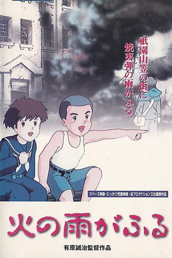 Póster de 火の雨がふる