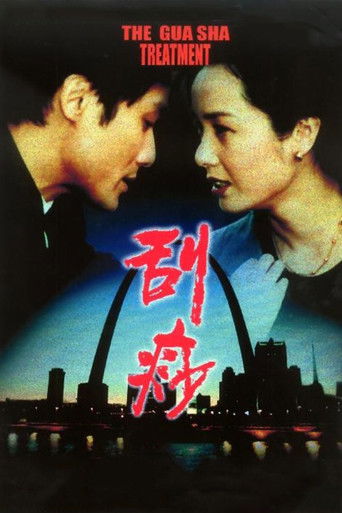 Póster de 刮痧