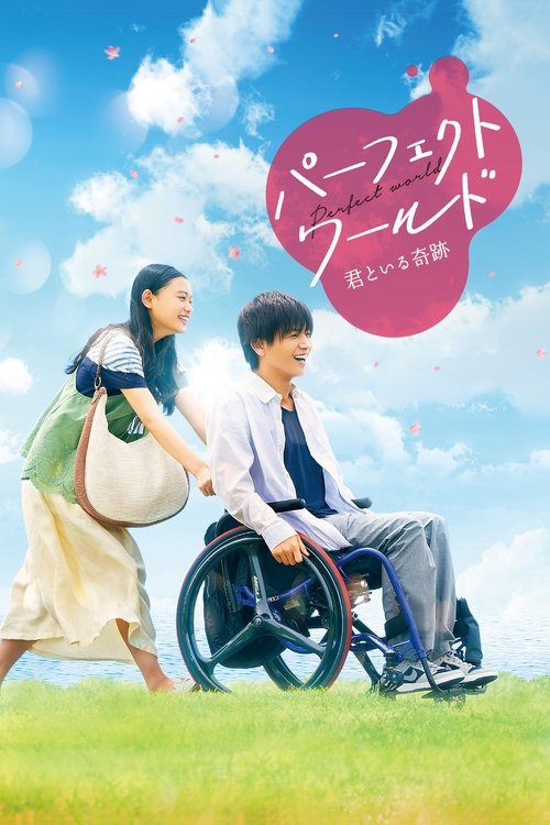 Póster de パーフェクトワールド 君といる奇跡