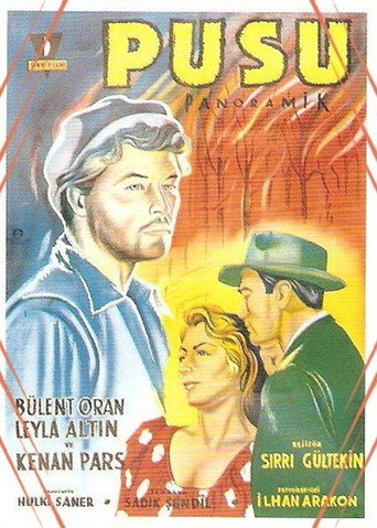 Póster de Pusu