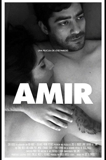 Póster de Amir