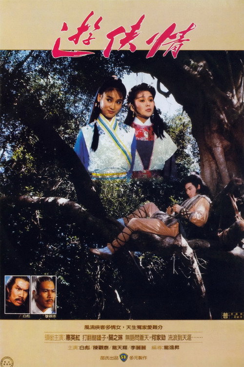 Póster de 游俠情