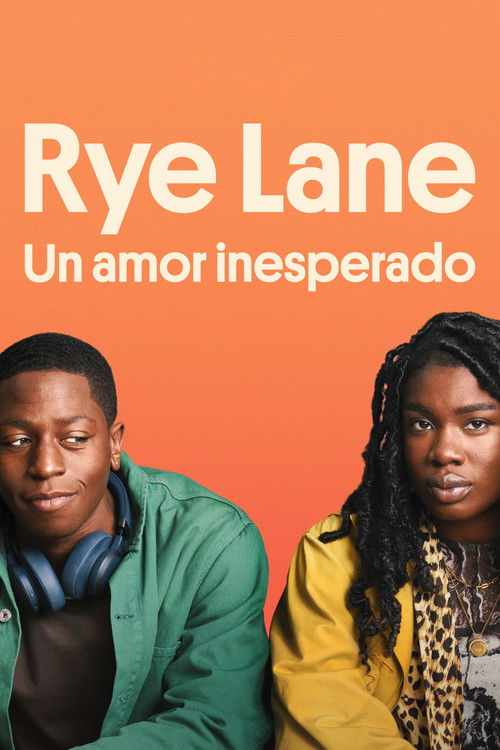 Póster de Un amor inesperado