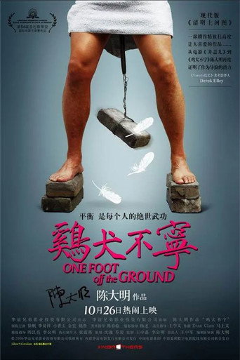 Póster de 鸡犬不宁