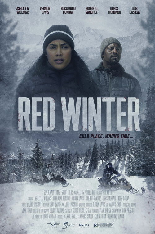 Póster de Red Winter