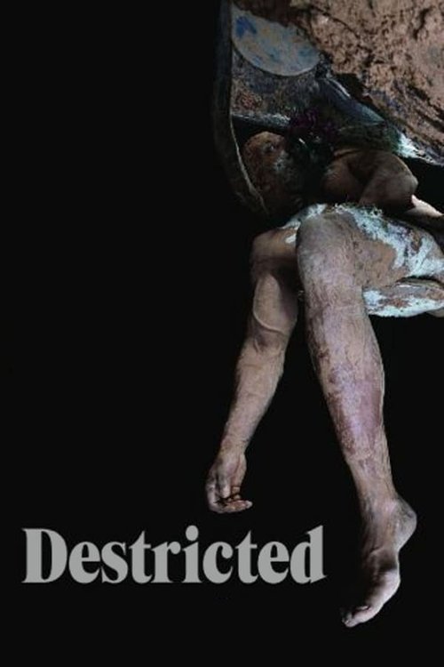 Póster de Destricted