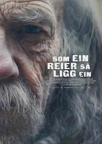 Póster de Som ein reier så ligg ein