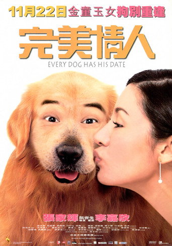 Póster de 完美情人