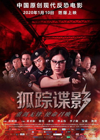Póster de 狐踪谍影