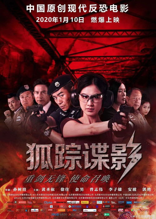 Póster de 狐踪谍影