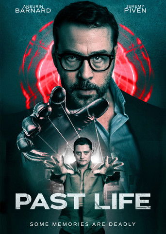 Póster de Past Life