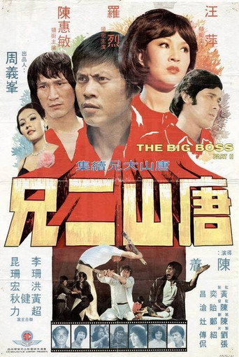 Póster de 唐山二兄