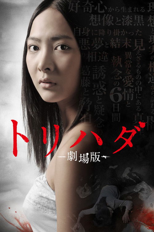 Póster de トリハダ ‐劇場版‐