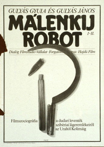 Póster de Málenkij robot