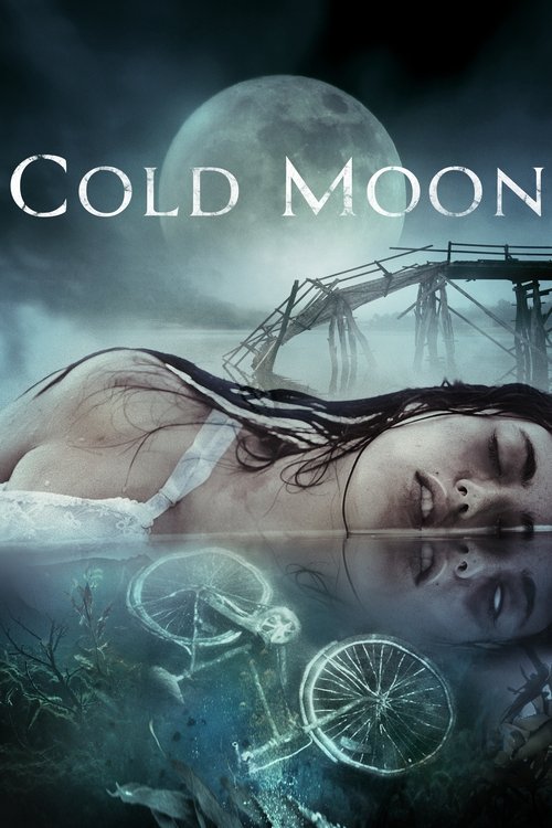 Póster de Cold Moon