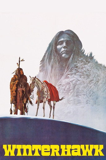 Póster de Winterhawk