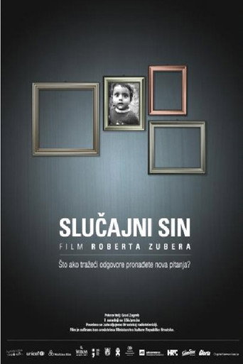Póster de Slučajni sin