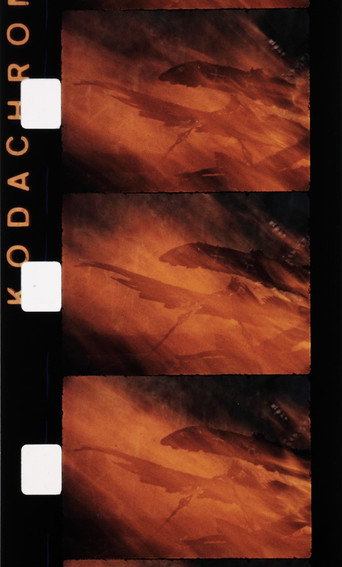 Póster de Le feu