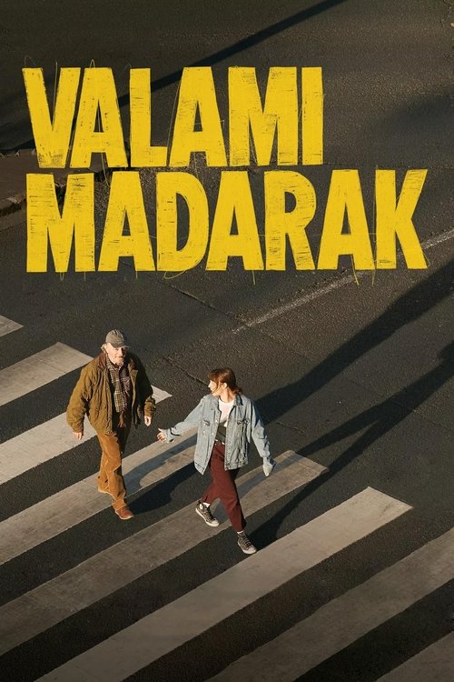 Póster de Valami madarak