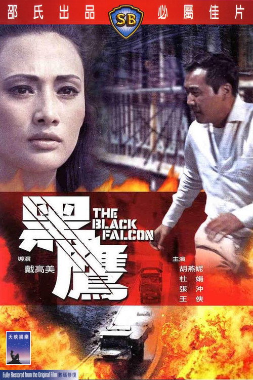 Póster de 黑鷹