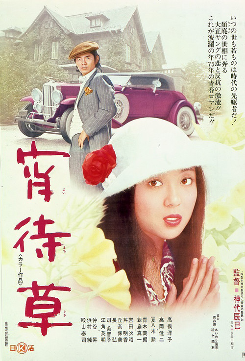 Póster de 宵待草
