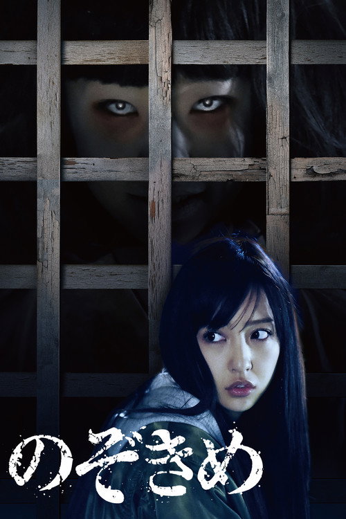 Póster de のぞきめ
