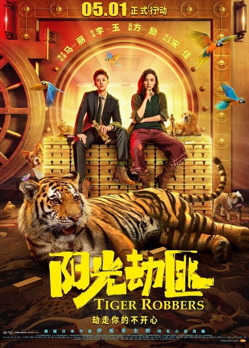 Póster de 阳光劫匪