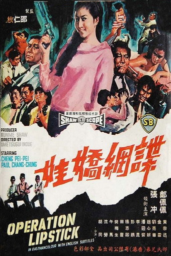 Póster de 網嬌娃
