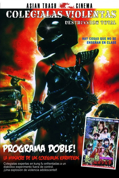 Póster de Ｖ・マドンナ大戦争