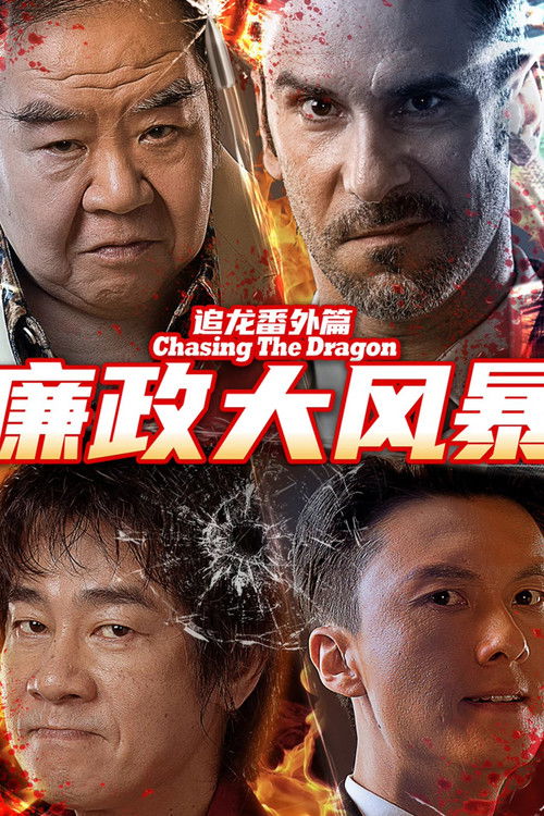 Póster de 追龙番外篇之廉政大风暴