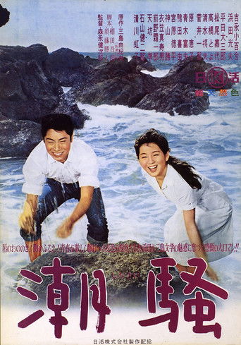 Póster de The Sound of Waves