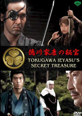 Póster de 徳川家康の秘宝